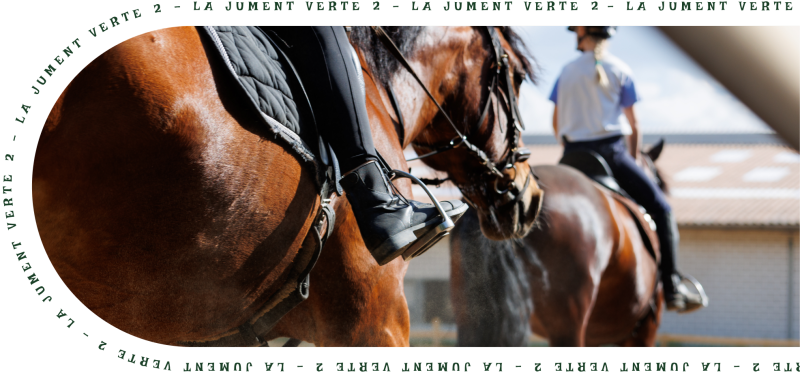 La Jument Verte 2 - restaurant UNIEUX - top restaurant UNIEUX